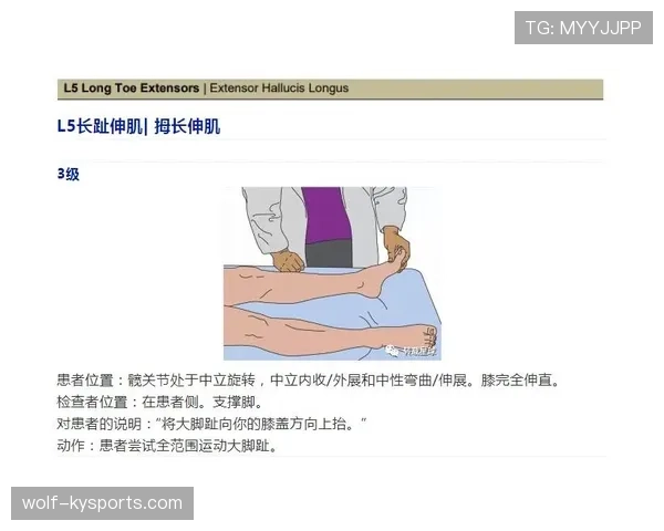 篮球持球规则解析:关键动作界定 篮球持球规则解析:关键动作界定